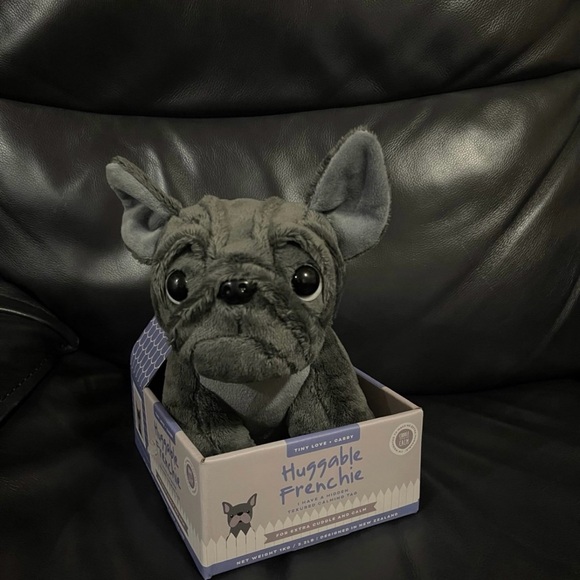 Huggable Frenchie - Huggable Grey Frenchie - Picture 2 of 6